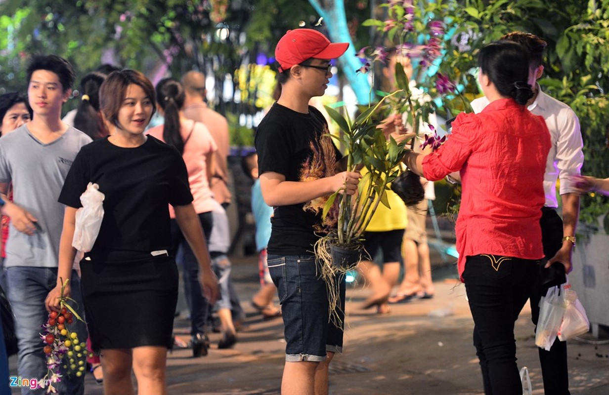 Anh: Vuot rao vao “mot” hoa o duong hoa Nguyen Hue dem be mac-Hinh-12